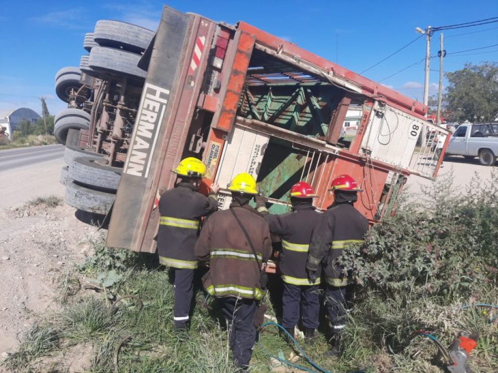 Tres Arroyos: Un camión que transportaba terneros volcó en la subida a la Ruta 3