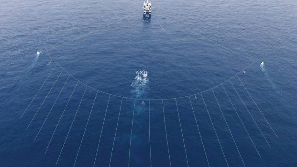 Exploración offshore en el Mar Argentino: Exxon devuelve 3 áreas tras flojos resultados