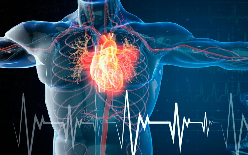 Jornada de Salud en Casbas: Prevención de enfermedades cardiovasculares y accidente cerebrovascular