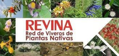 6° Encuentro de la Red de Viveros: "Las plantas Nativas en el paisaje"