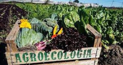 El Registro de Productores Agroecológicos Bonaerense ya tiene 12.540 hectáreas certificadas