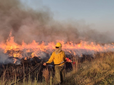 El fuego en los Esteros del Iberá pone en riesgo el principal proyecto de conservación del país