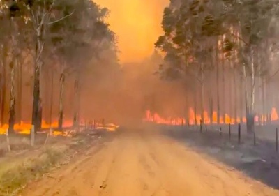 Se movilizan en Tornquist para ayudar a Corrientes por los incendios