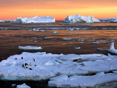 La Antártida y el Ártico, con temperaturas muy elevadas al mismo tiempo