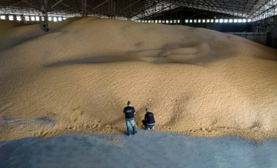 Detectan 15 Cerealeras "truchas" que fugaron del país más de 49 millones de dólares