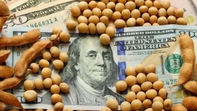 El Banco Central le cerró el acceso al mercado cambiario a las cerealeras que vendieron "dólar soja"
