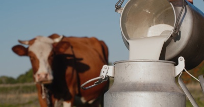 Crece el mapa de pueblos fumigados y detectan veneno en leche de vaca