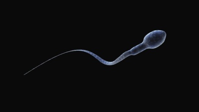 Las 5 razones por las que hay una caída en la cantidad de espermatozoides a nivel mundial