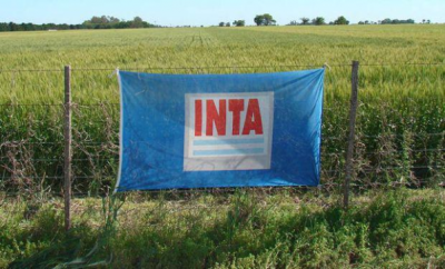 Hoy se cumplen 66 años de la creación del INTA