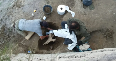 Hallazgo paleontológico en Olavarría: encontraron huesos de un Perezoso Gigante