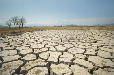 Declaran a once municipios en emergencia agropecuaria por sequía, entre ellos a Guaminí