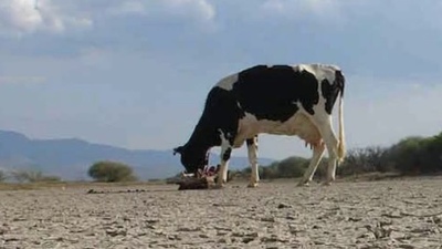 Productores lecheros de la provincia de Buenos Aires reclaman por los "tambos secos"