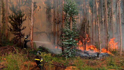 Incendios forestales en Chile y Argentina, una catástrofe anunciada