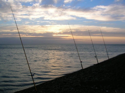 Opciones para pasear o pescar esta Semana Santa en Bahía San Blas