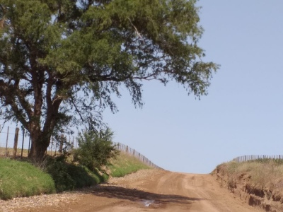 Caminos Rurales: Tensión en la huella que erosiona una salida