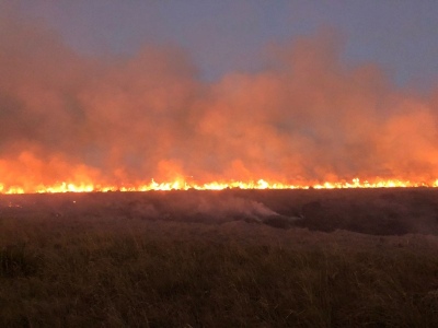 Incendios en Corrientes: el 91% de lo afectado son esteros