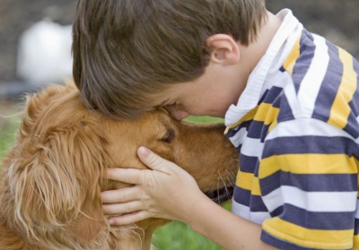 Mascotas y responsabilidad: Educar para aprender a cuidar