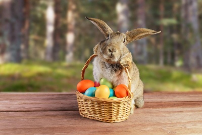 ¿Cómo fue que el conejo se volvió el símbolo de la Pascua de Resurrección?