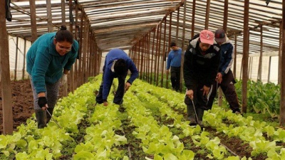 Convocatoria 2023 al Programa "Agricultura Familiar en Marcha" en la provincia de Buenos Aires