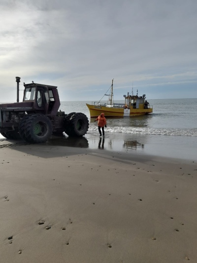 Bahía San Blas: Trabajan en la limpieza de enganches en 8 km de playa