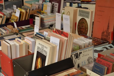 Villarino lanza la primera edición de la Feria Municipal del Libro