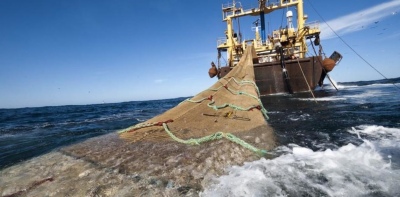 Pesca de Arrastre: el desastre ambiental que produce en nuestro Mar Argentino
