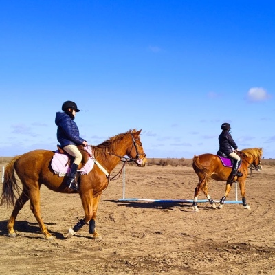 Escuela de Equitación: La Comisión del Club Hípico de Villalonga no para de saltar obstáculos