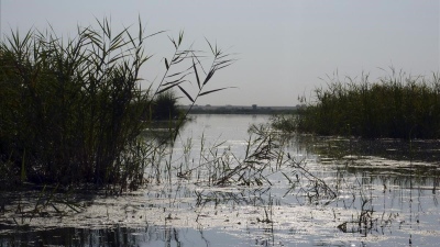 El paisaje tiene un papel clave en las emisiones de metano de los ríos y arroyos