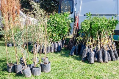 Bragado: entregaron árboles frutales en el marco del Plan de Fomento de la Fruticultura Bonaerense