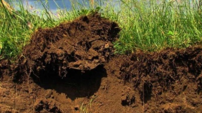 ¿Se puede revertir la degradación de los suelos pampeanos con más agricultura?