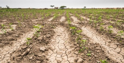 Extienden la emergencia agropecuaria en 39 partidos por la sequía, entre ellos 7 son del sudoeste bonaerense