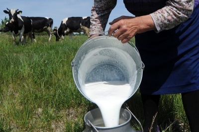 Lechería: Prorrogan por seis meses la suspensión de las retenciones para los lácteos