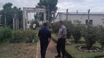 Desde la cárcel de Saavedra donaron más de 250 árboles para reforestar Pigüé