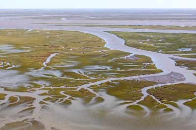 Derrames de petróleo en la Ría de Bahía Blanca: la empresa responsable solo limpió el 25% del ecosistema afectado