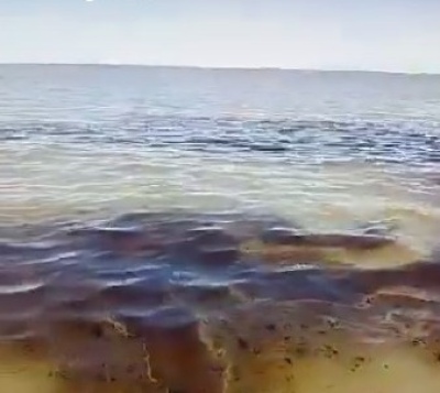 Nuevo derrame de hidrocarburos en el Estuario de Bahía Blanca: esta vez en la zona de la Base Naval de Puerto Belgrano