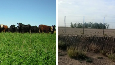 Visión a futuro: Los contrastes de la ganadería, desde las zonas núcleo hasta el sudoeste bonaerense