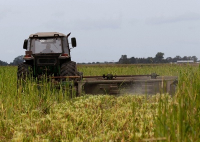 El Gobierno bonaerense lanzó nuevas medidas para el sector agropecuario