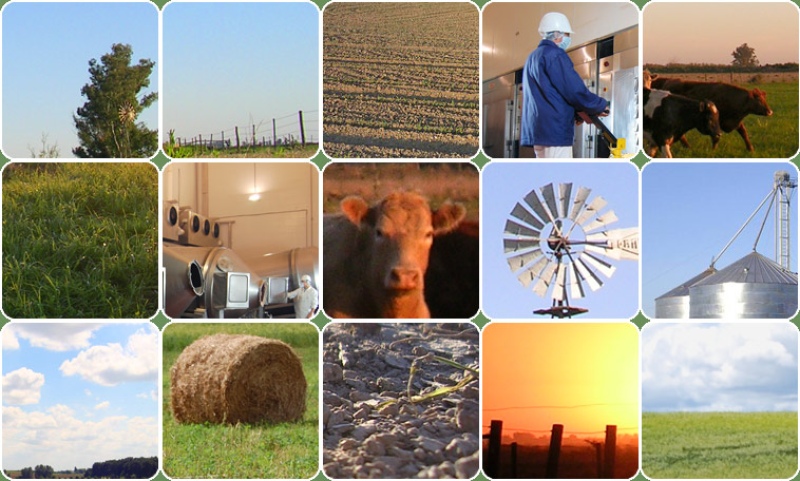 Fondo Rotatorio: Acuerdan 190 millones para la actividad productiva de Cooperativas del sector agropecuario